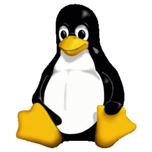 Linux 内核曝出 RDS 漏洞 影响 Red Hat , Ubuntu Debiand 与 SuSE 第1张