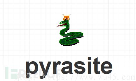 pyrasite – 向python进程注入代码工具 第1张