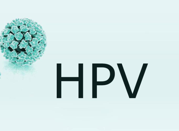 hpv病毒是什么意思(感染了hpv病毒是什么意思)